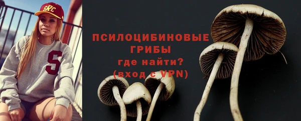 таблы Дмитриев