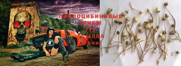 экстази Дмитров